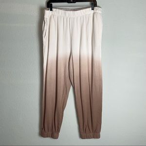 Wild Fable Ombre High-Rise Jogger Sweatpants - XXL
